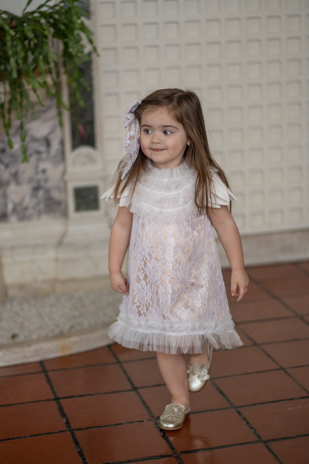 Dove Lace Overlay Beige Dress