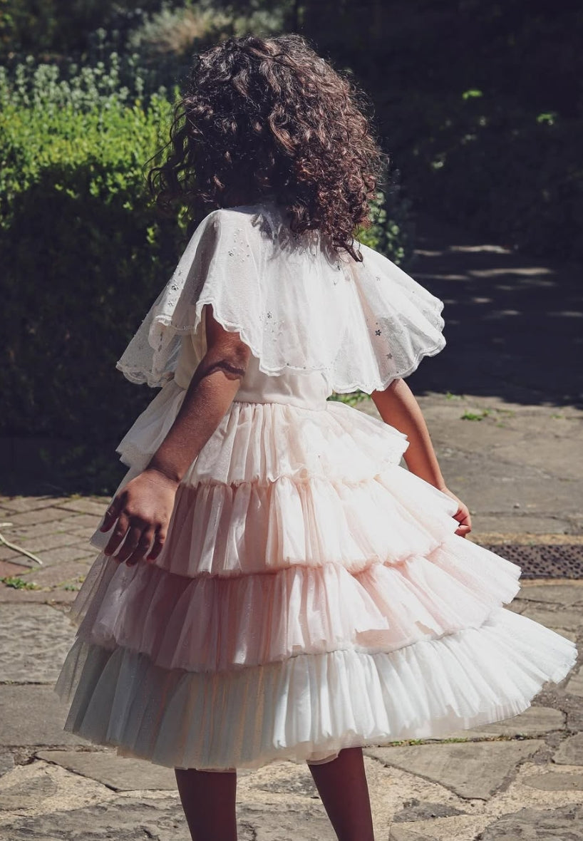 Back view of Colour-graded Fairies in the Starry Night dress with tiered tulle skirt by House of Carousel
