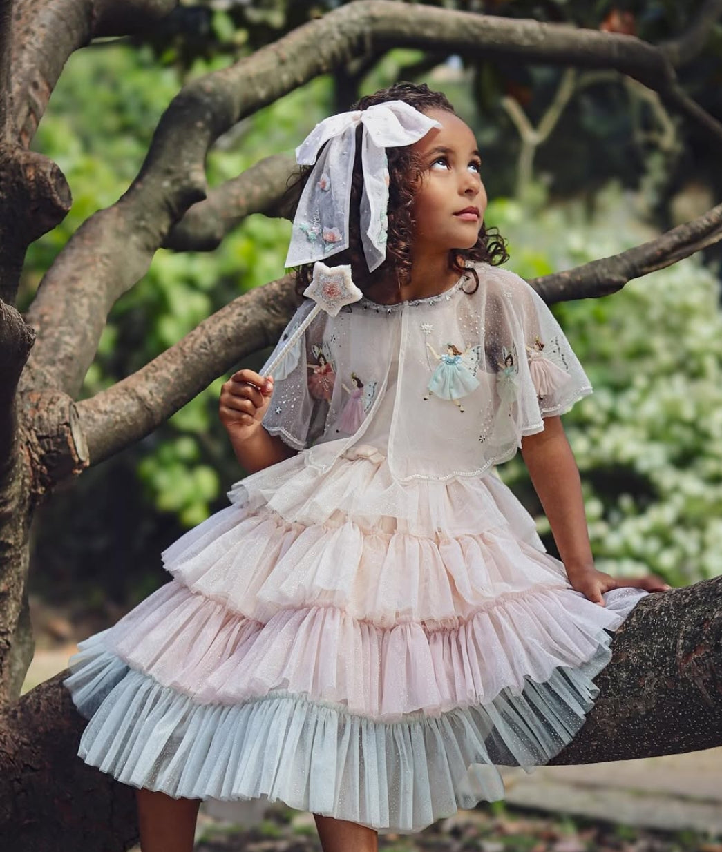 Girls colour-graded tiered tulle dress with fairy appliqués and sheer cape by House of Carousel